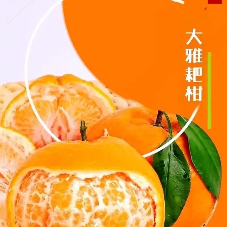 四川大雅耙耙柑新鲜柑橘产地直发爆汁多汁爽口细腻脆甜自然熟