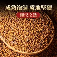 甄选内蒙古水洗菟丝子茶菟丝籽可配五味子沙苑子枸杞子决明子黄精