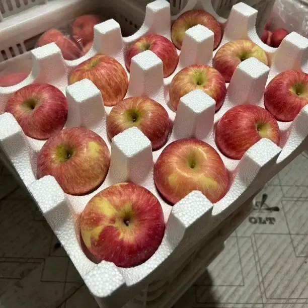 辰汁果陕西白水新鲜苹果脆甜多汁可带皮吃的水果大果