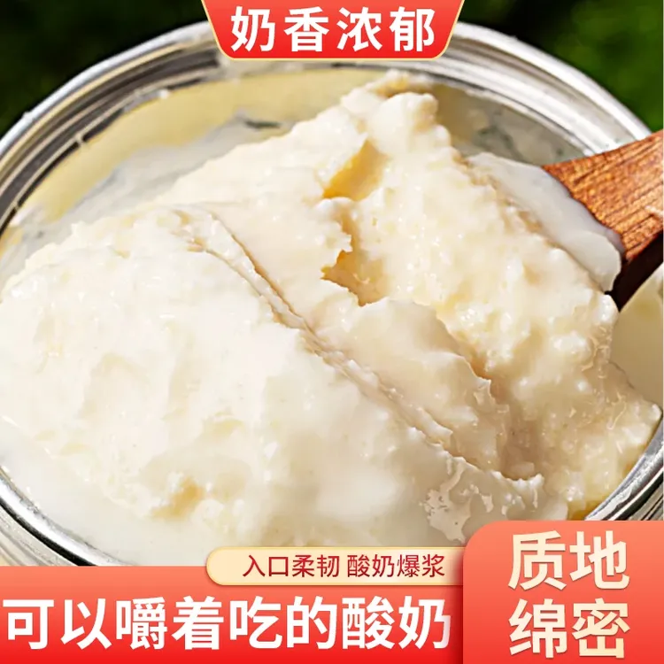 天承奶皮子酸奶【大罐装】内蒙古经典特产浓稠奶香浓郁丝滑细腻tw