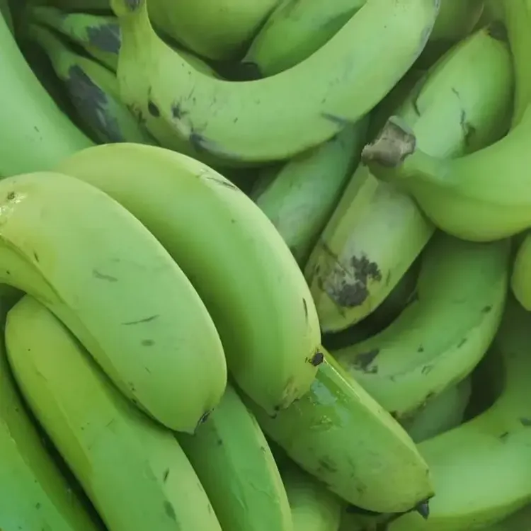 云南直发高山丑香蕉新鲜绿皮生香蕉自然熟清甜软糯应季现摘