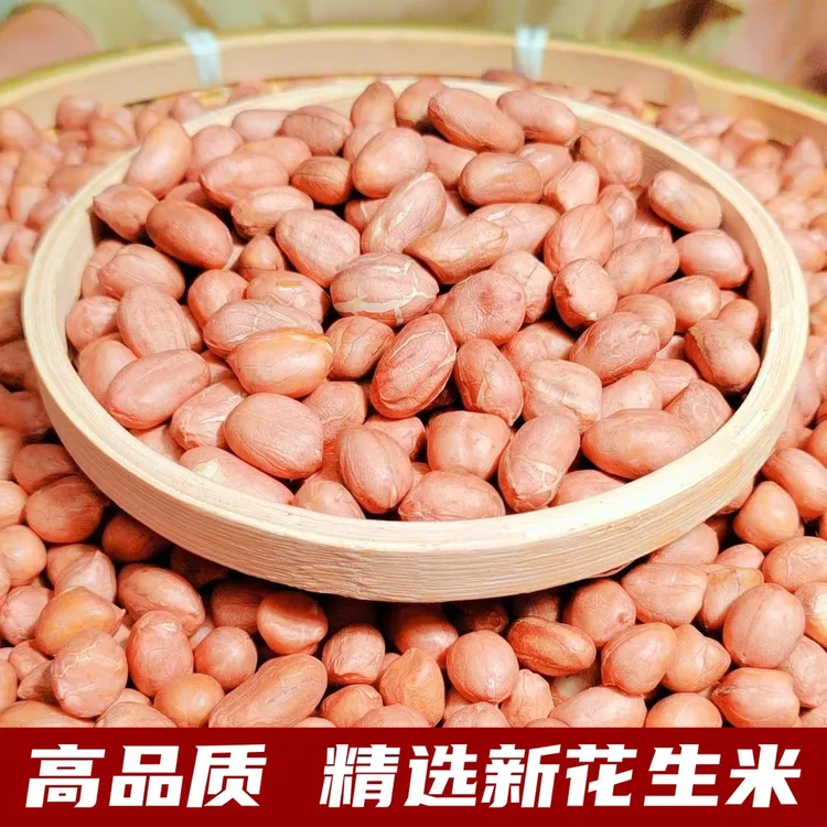 2025年新上花生米5斤/3斤生花生 河北大名新鲜生花生米生鲜农产品