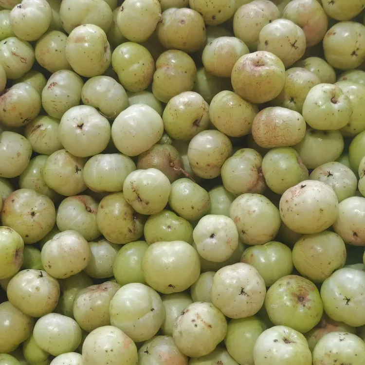 潮汕油甘果新鲜现摘生吃回甘可榨汁煲汤的清甜水果