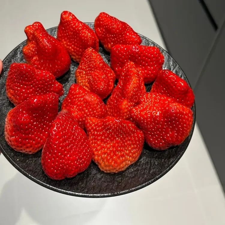 丹东九九现摘现发产地直发鲜嫩多汁顺丰包邮