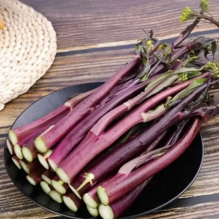 湖北农家自种露天新鲜红菜苔当季火锅蔬菜