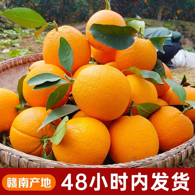 【现摘正宗赣南脐橙】寻乌应季水果新鲜橙子产地直发特产好吃大果