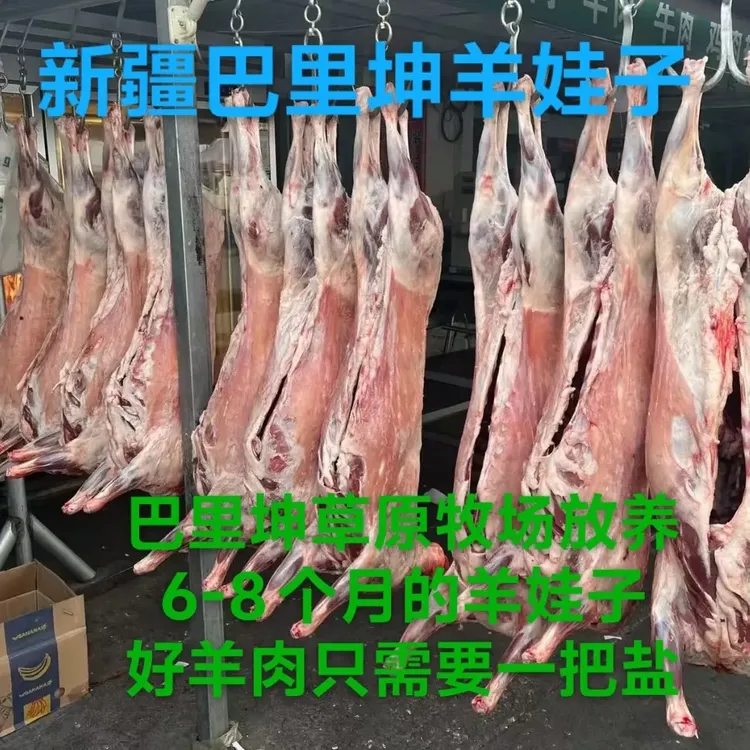 新疆天山散养生态羊羔肉新鲜羊腿羊排