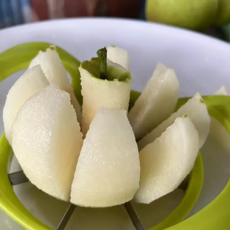 头茬青皮曹家六月雪梨脆甜多汁现摘现发当季水果