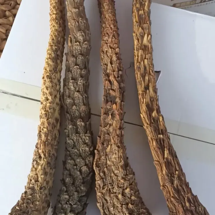 【整根】新疆沙漠参人工切片泡水炖汤泡酒料初级农产品