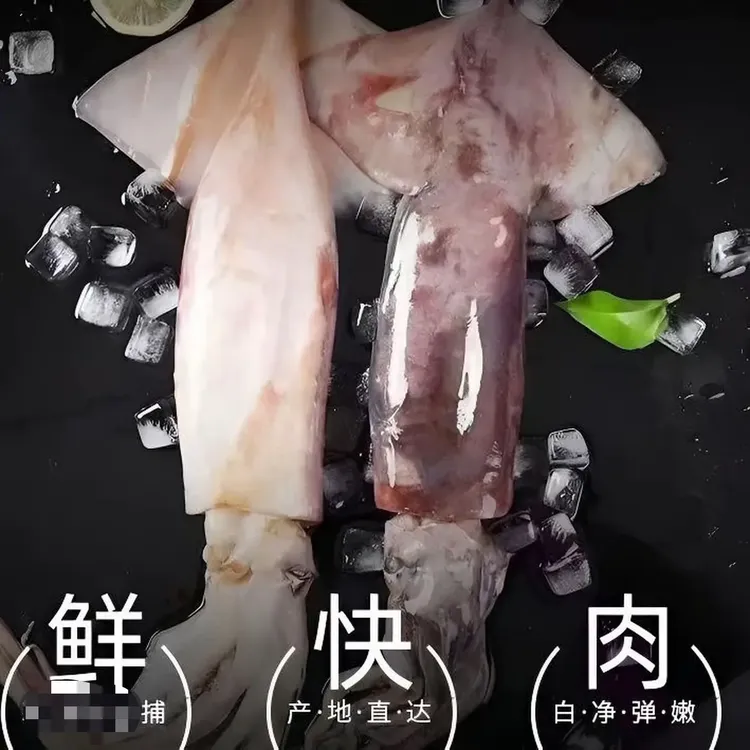 连云港发货 新鲜海捕原浆鱿鱼带内脏发货到手6斤