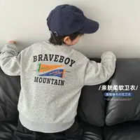 【3.21号新品】男童卫衣春秋款儿童套头衫男孩春季上衣|25ac06