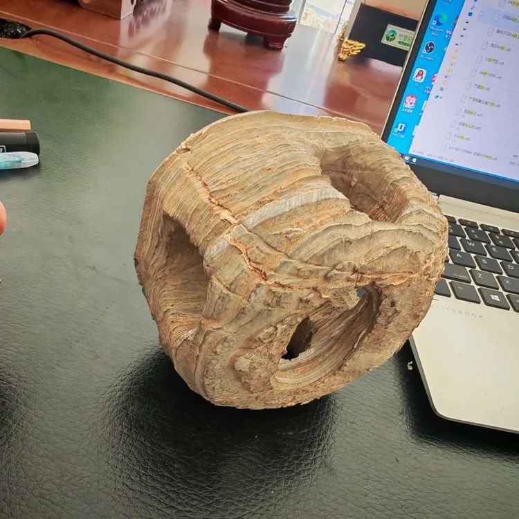 灵璧石奇石摆件天然笔筒六洞石
