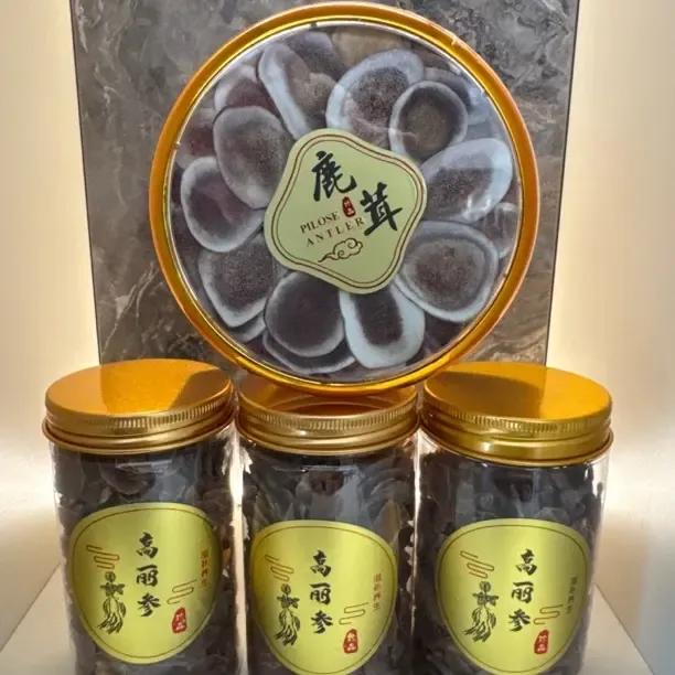 高丽参片送鹿茸一盒