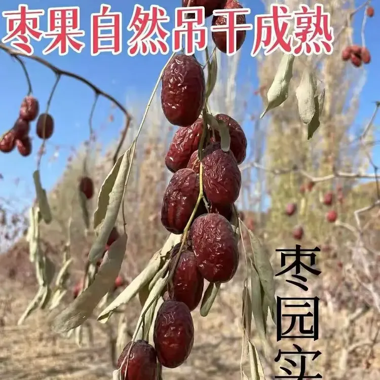 新疆自然吊干灰枣原生态若羌灰枣核小皮薄枣香浓郁