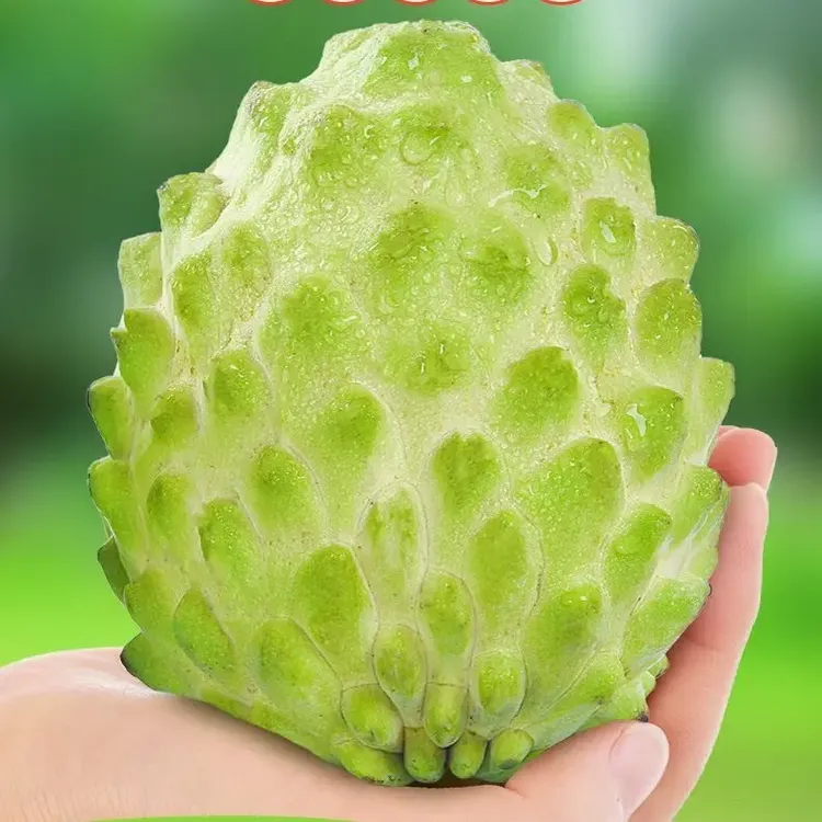 台湾凤梨释迦果 应季水果 孕妇小孩水果，自家种植