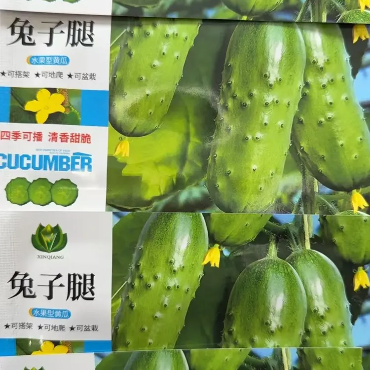 兔子腿水果黄瓜种子家庭阳台四季种植