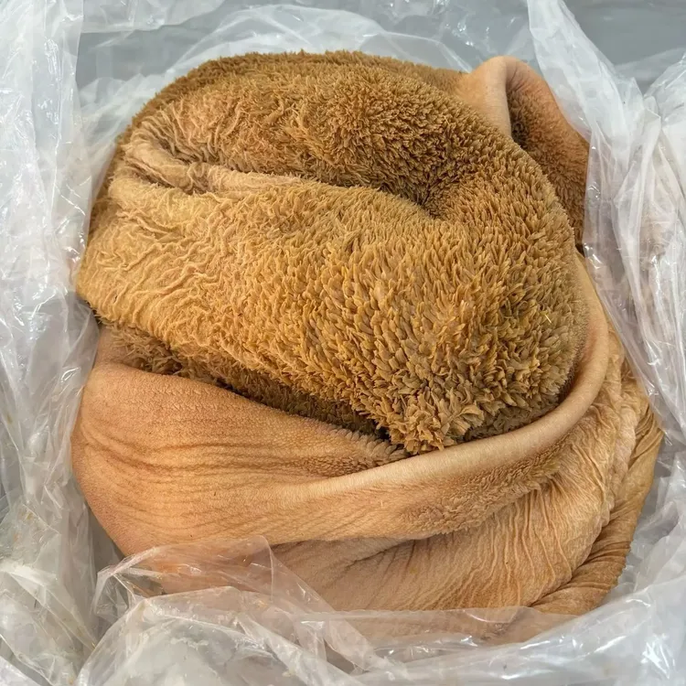 新鲜毛肚 内蒙古锡林郭勒大草原新鲜牛肚 不碱发不泡水 