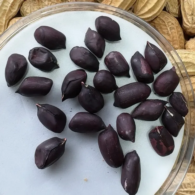 大颗粒多籽干炒花生黑皮500g/袋两斤包邮