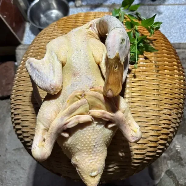 真真正正山泉水螺丝水草土麻鸭，正在土鸭，湖南永州宁远县发货。