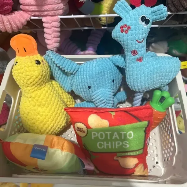 宠物发声玩具耐咬磨牙解闷默认微瑕no退no换到手框里六个