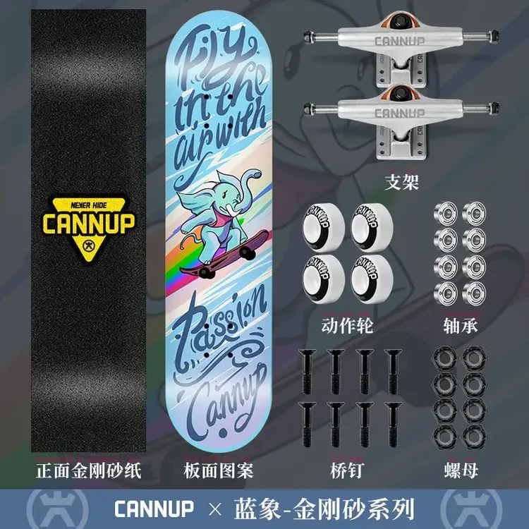 斯威专业滑板初学者板短板成人青少年四轮滑板车高颜值双翘专业板