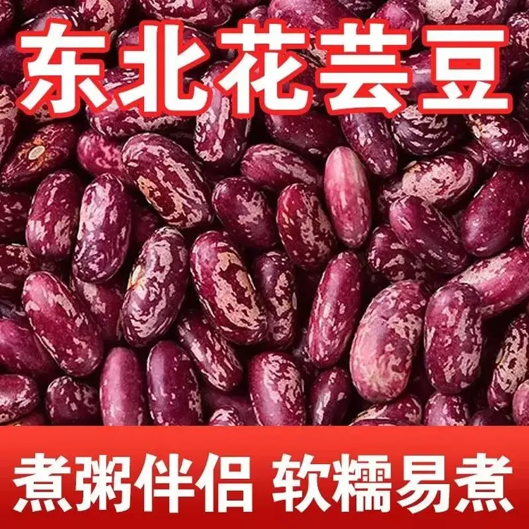 东北黑龙江新花芸豆紫花芸豆豆包豆馅大碴子粥专用奶花饭豆新鲜