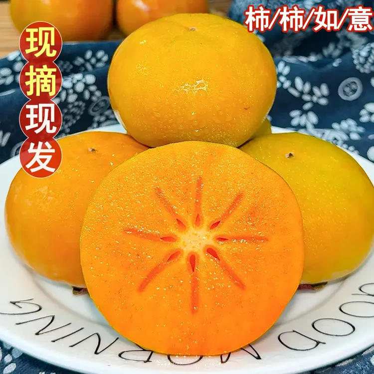 正宗山西巧克力脆柿果园现摘脆柿甜心脆爽果农现采现发包邮到家