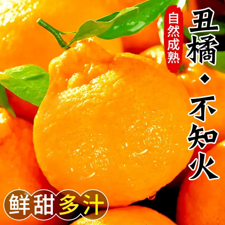 高山不知火丑橘水果新鲜采摘应当季整箱1-9斤丑柑桔子柑橘丑八怪
