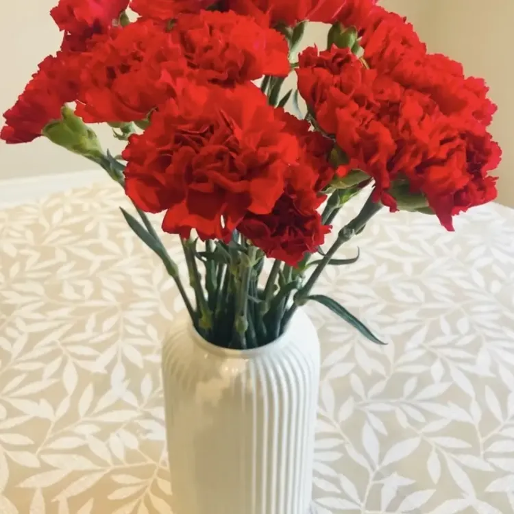 粉玫瑰百合康乃馨云南昆明基地直发鲜切花水养真花插花