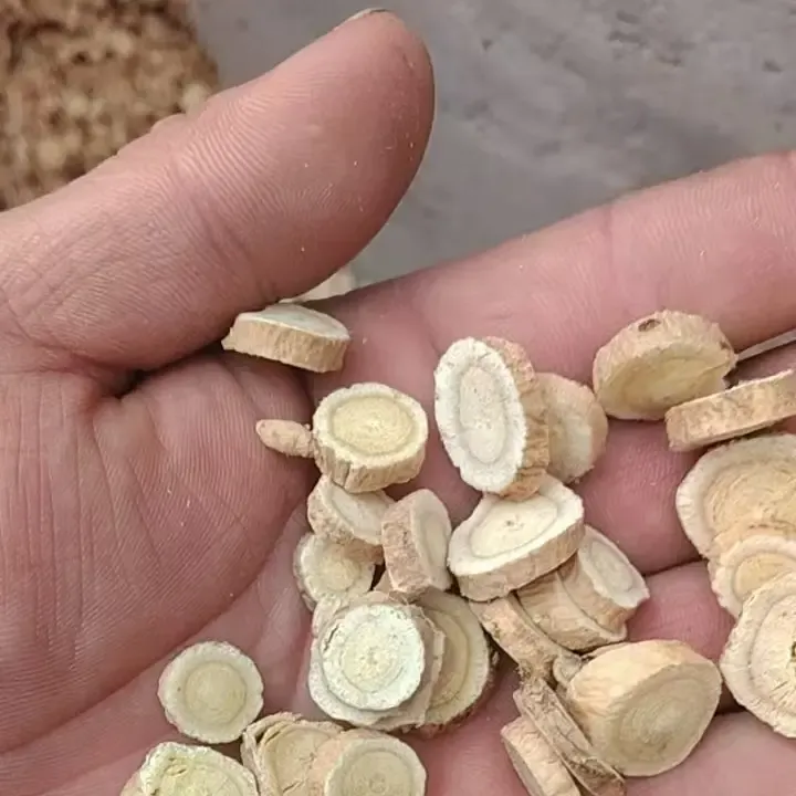 甘肃黄芪现切圆片大片  无硫新货可泡水煲汤滋补