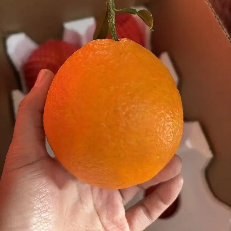 正宗四川爱媛38号果冻橙新鲜水果，现摘现发，自己家种的自己发货