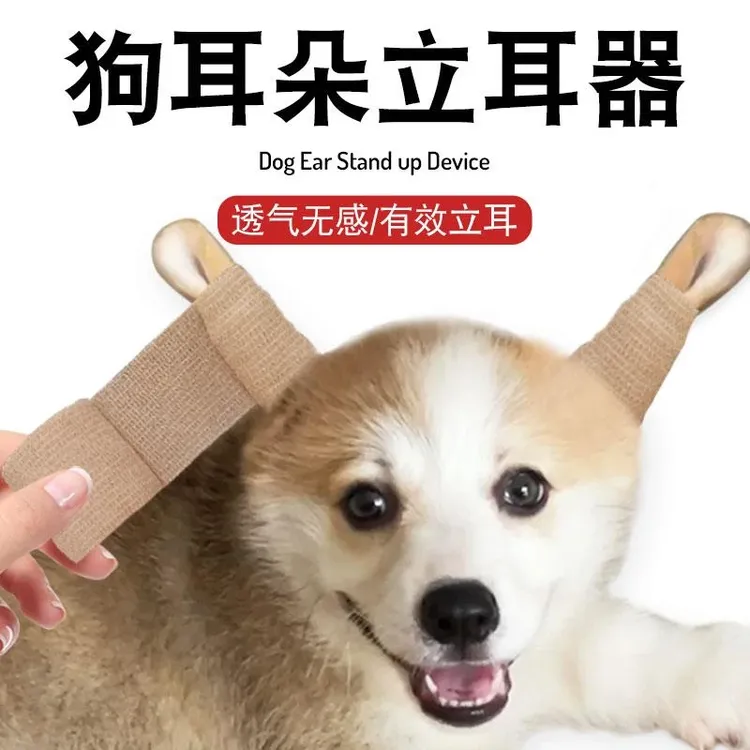 狗狗耳朵立耳神器雪纳瑞柯基边牧立耳器立耳贴幼犬竖耳辅助器无胶