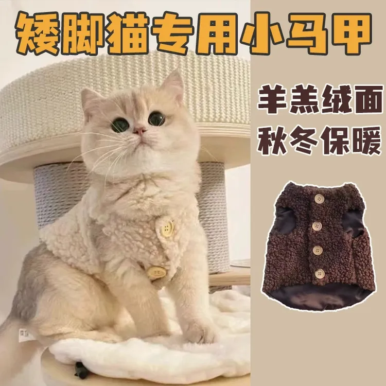 猫咪衣服小猫加绒马甲秋冬保暖毛绒加厚羊羔绒背心可爱小狗外套