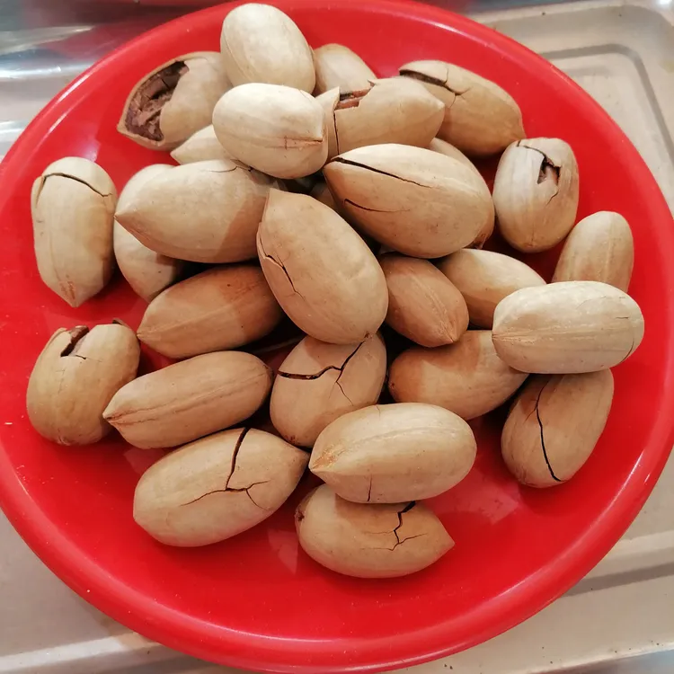 新货大颗粒奶油味带壳碧根果休闲坚果零食