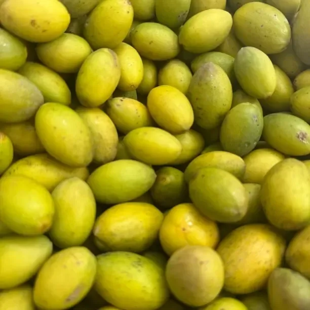 潮汕特产三捻橄榄老树鲜果可生吃煲汤泡酒