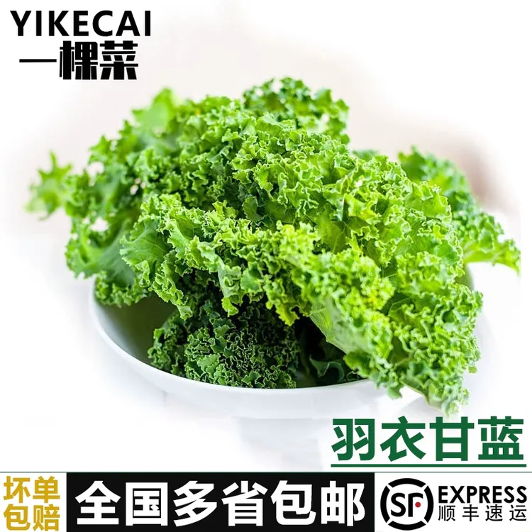 YIKECAI羽衣甘蓝 新鲜嫩叶kale轻食健身榨汁西餐食材蔬菜沙拉顺丰