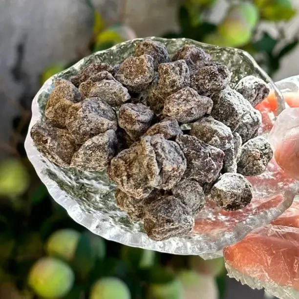 段夫人雕梅 雪花梅