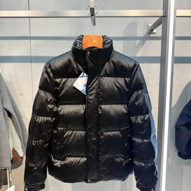 【型魔】冬季男士立领保暖防水新国标白鸭绒石墨黑羽绒服短款外