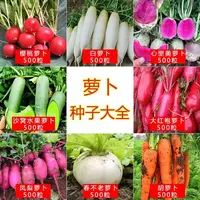 【五袋包邮】萝卜*胡萝卜大全种子四季播种可用于菜地阳台盆栽种植