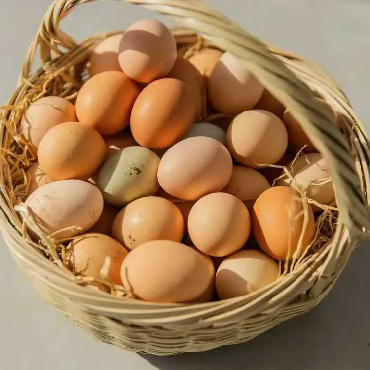 自家农场散养新鲜土鸡蛋无抗无激素假一赔十京东包邮