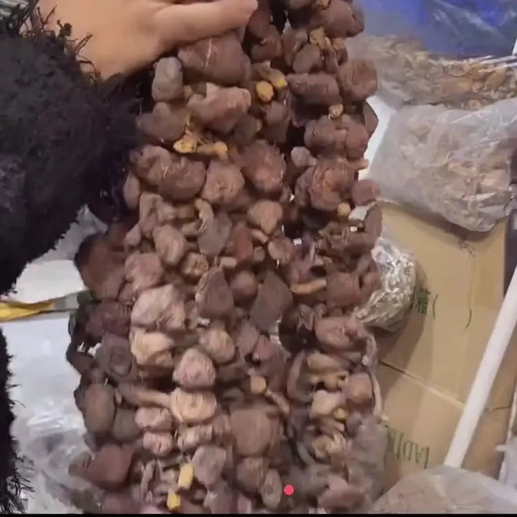 河北承德纯野生干肉蘑红蘑自然晾晒东北松树伞蘑菇干货无根免摘