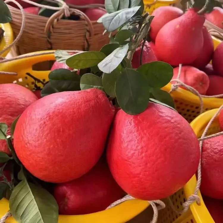 正宗广西容县香水红柚新鲜采摘当季稀有水果送礼佳品