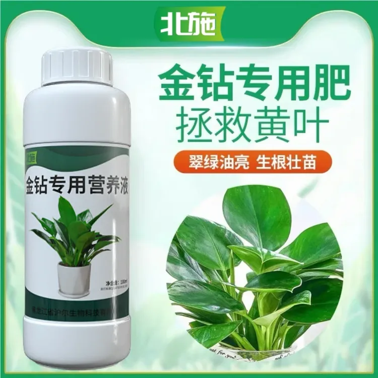 北施大叶金钻专用营养液肥绿植通用型免稀释植物花肥料