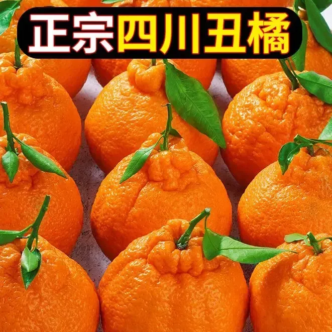 正宗不知火丑橘子酸爽丑八怪新鲜水果桔子应季时令水果1-9斤丑柑