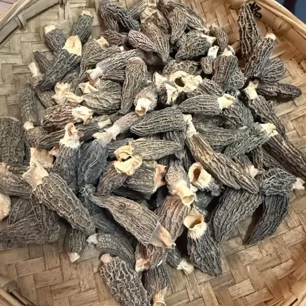 云南特产羊肚菌干货4到7厘米煲汤营养食材