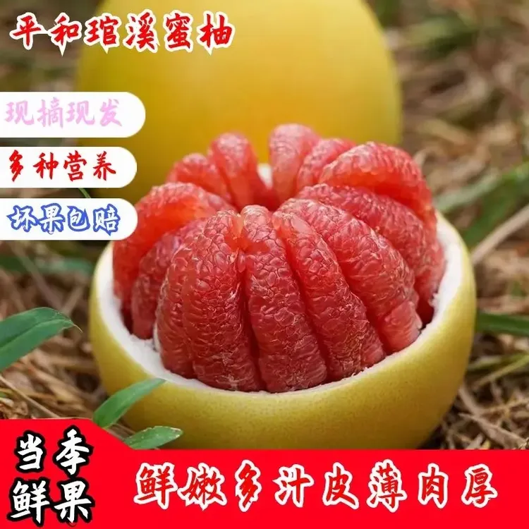 正宗柚子红心柚5-10斤礼盒高端福建平和琯溪红心蜜柚中秋送礼鲜美