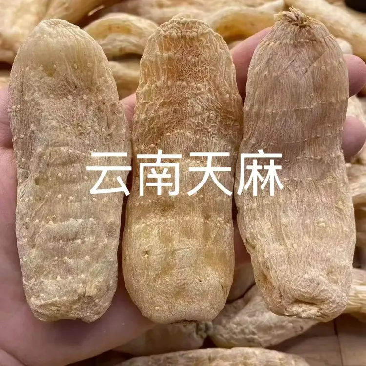 云南天麻干货精选天麻炖汤泡水天麻原产地
