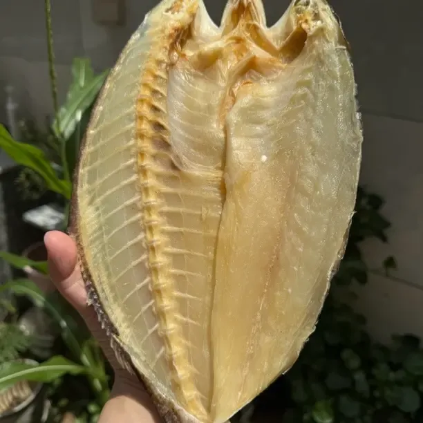 湛江渔民自晒马友鱼干淡干美味海产干货