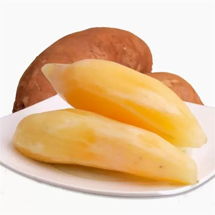 【云南直发】【长果】清甜多汁天山雪莲果现挖5斤4-12个装