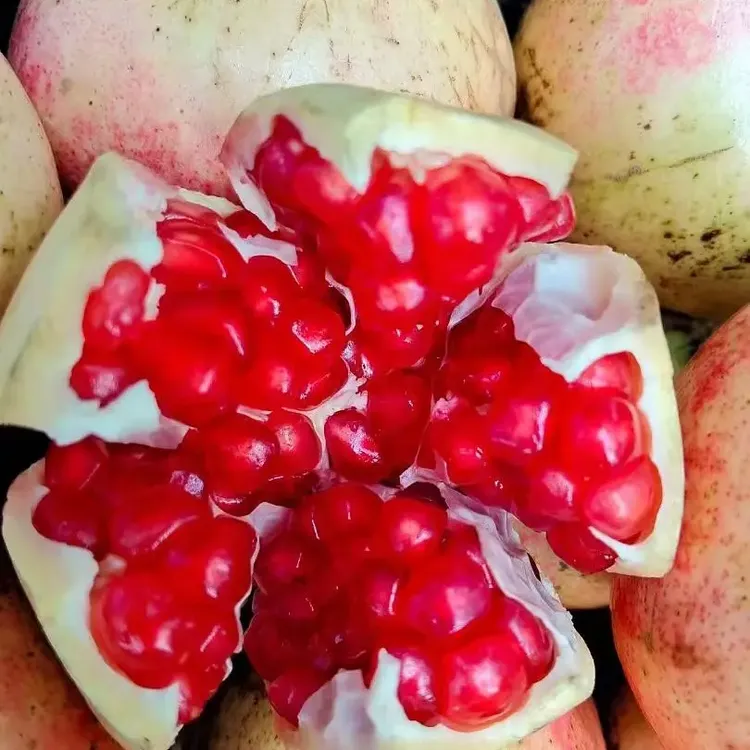 红玛瑙石榴新鲜当季水果爆甜多汁整箱包邮